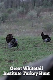 Great Whitetail Institute Turkey Hunt