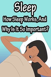 Sleep, How Sleep Works, And Why Is It So Important?