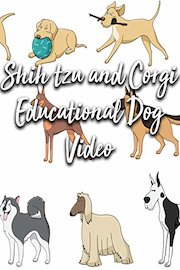 Shih tzu and Corgi Educational Dog Video