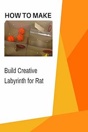 How to Build Creative Labyrinth for Rat