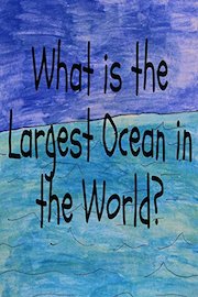 What is the Largest Ocean in the World?