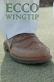Ecco Wingtip