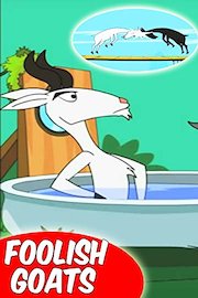 Foolish Goats