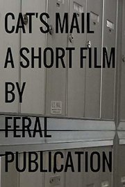 Cat's Mail