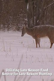 Utilizing Late Season Food Source for Late Season Hunting