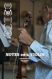 Notes on a Violin