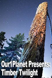 Our1Planet Presents: Timber Twilight