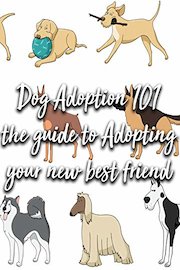 Dog Adoption 101 the guide to Adopting your new best friend