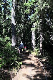 Hiking with Valentine - Rainy Lake Trail, North Cascades National Park