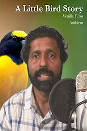 A little Bird Story