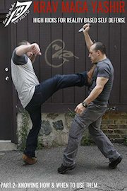 Krav Maga: High Kicks for Reality Based Self Defense