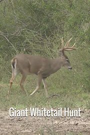 Giant Whitetail Hunt