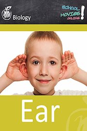 Ear - School Movie on Biology