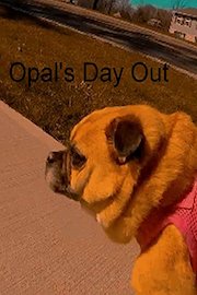 Opal's Day Out