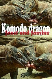 Komodo dragon. Feast and famine