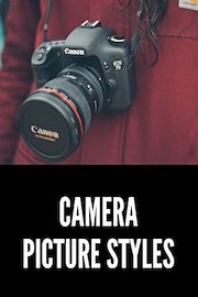 What is a Picture Style? How to Choose the Right One