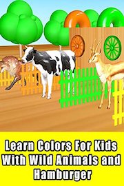 Learn Colors For Kids With Wild Animals and Hamburger
