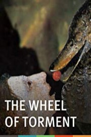 The Wheel of Torment