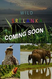 Wild Srí Lanka. Coming soon