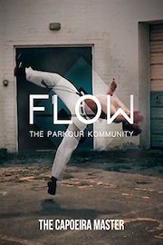The Capoeira Master