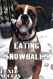 Eating Snowballs