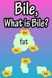 Bile, What Is Bile?