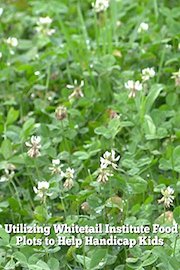 How, When and Why You Should Frost Seed Your Food Plots