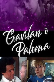 Gavilán o Paloma