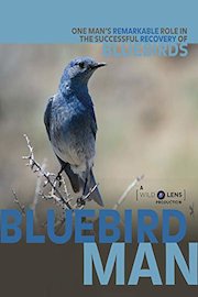 Bluebird Man