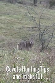 Coyote Hunting Tips and Tricks 101