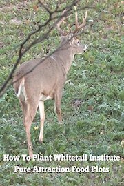 How To Plant Whitetail Institute Pure Attraction Food Plots