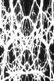 Black and White Trypps #2