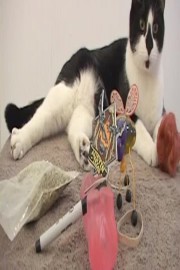 Six-Dollar Twelve Days of Christmas Spectacular