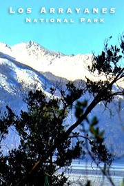 Los Arrayanes National Park