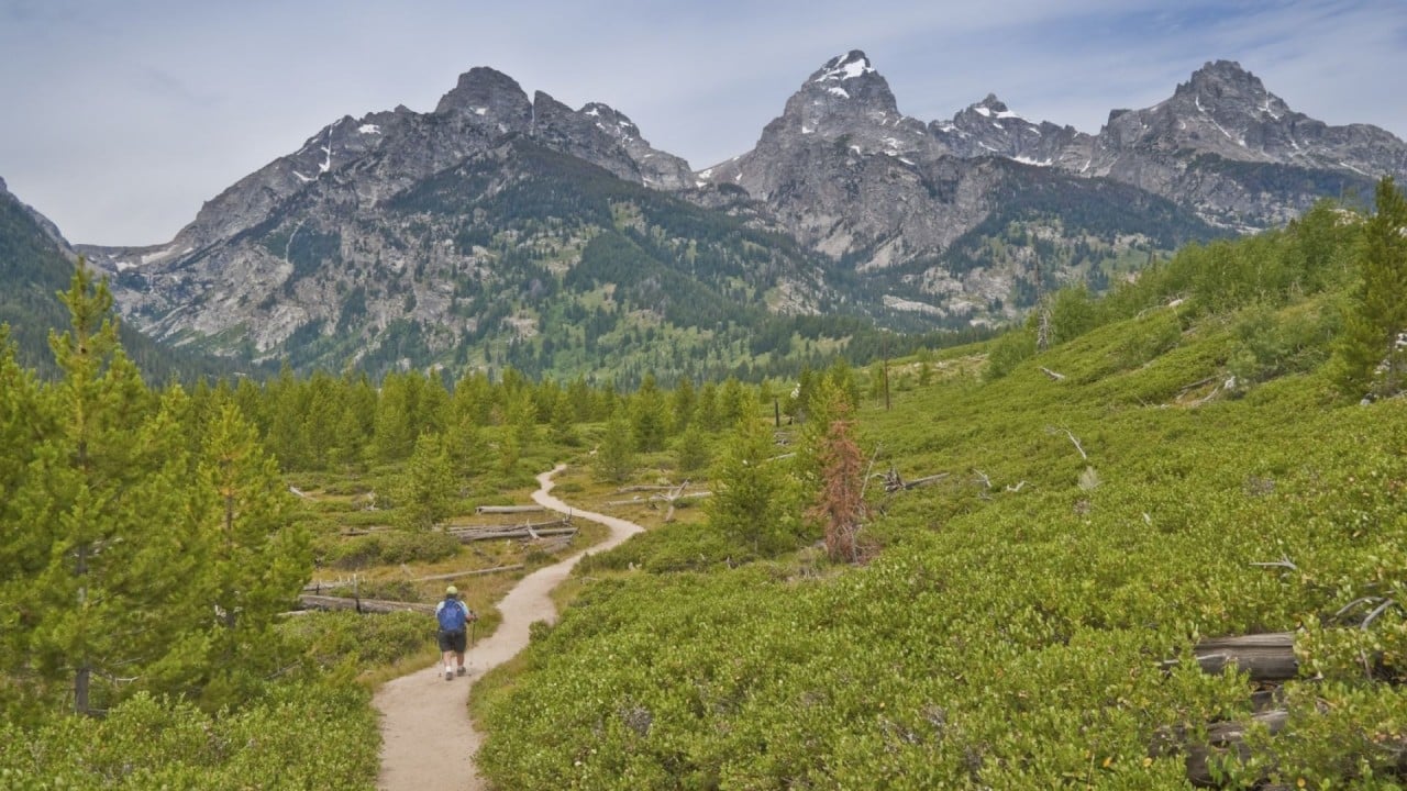 Jackson Hole, Grand Teton and Yellowstone National Parks