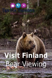 Visit Finland Bear Viewing in Karhu-Kuusamo
