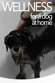 Wellness for dog at home