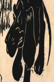 The Adventures of Blacky