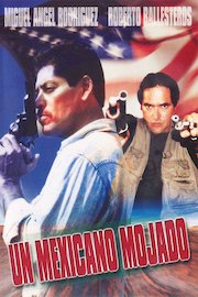 Un Mexicano Mojado