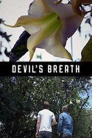 Devil's Breath