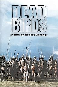 Dead Birds