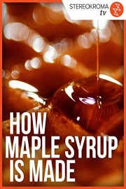 How Maple Syrup is Made