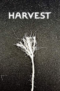 Harvest