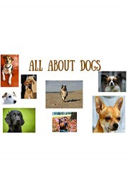 All About Dogs