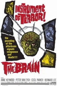 The Brain