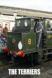 The Terriers