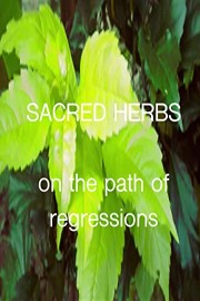 Sacred Herbs