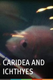 Caridea and Ichthyes