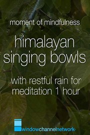 Himalayan Singing Bowls with restful fain for meditation 1 hour