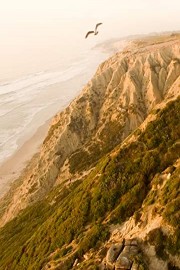 Flight from Torrey Pines Glider Port with a DJI Phantom 3 Professional